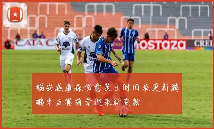 锡安威廉森伤愈复出时间表更新鹈鹕季后赛前景迎来新变数