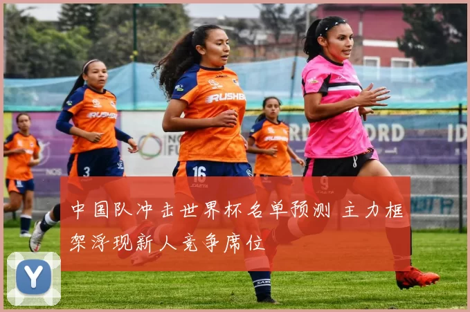 中国队冲击世界杯名单预测 主力框架浮现新人竞争席位