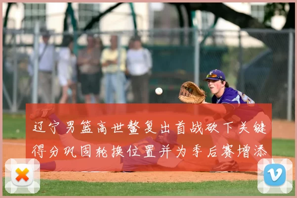 辽宁男篮高世鳌复出首战砍下关键得分巩固轮换位置并为季后赛增添选择