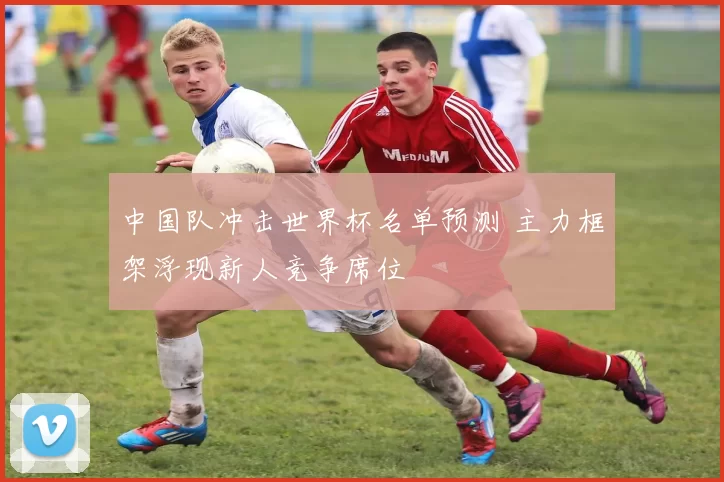 中国队冲击世界杯名单预测 主力框架浮现新人竞争席位
